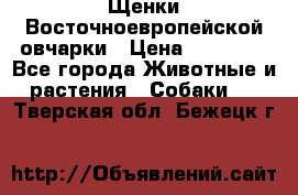 Щенки Восточноевропейской овчарки › Цена ­ 25 000 - Все города Животные и растения » Собаки   . Тверская обл.,Бежецк г.